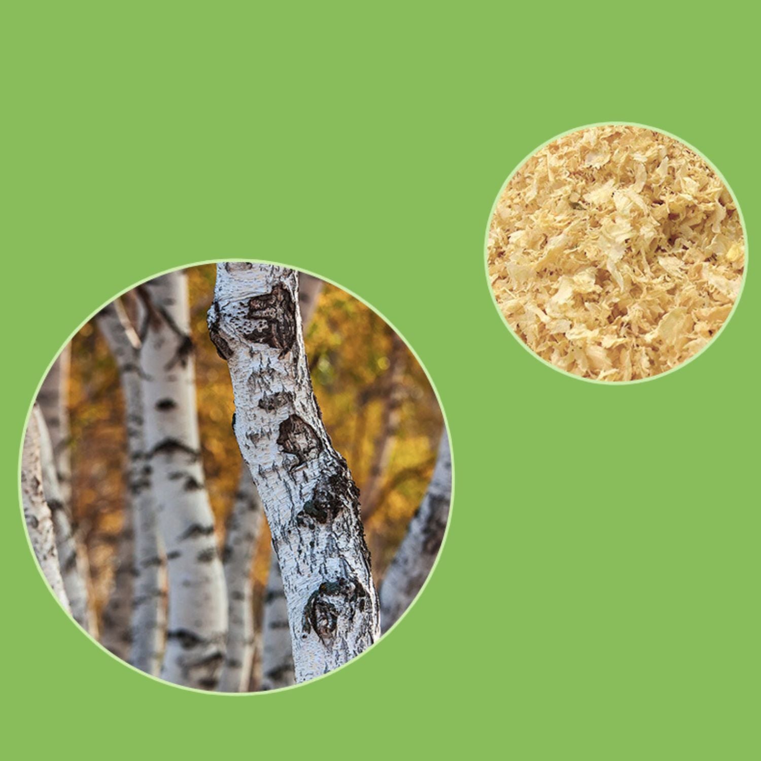 Kleine Dier Houtsnippers Mat Klein dier in bedekking